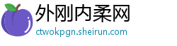 外刚内柔网